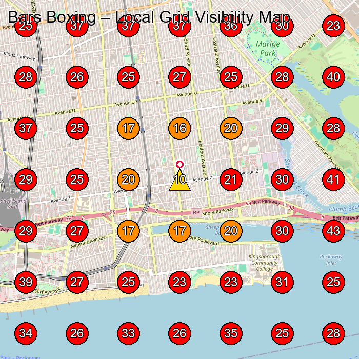 Bars Boxing GeoGrid visibility map for Self Defense School in Brooklyn